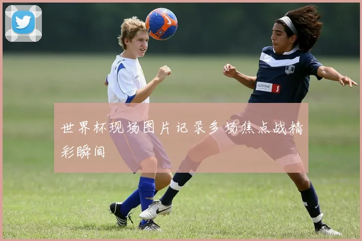 世界杯现场图片记录多场焦点战精彩瞬间