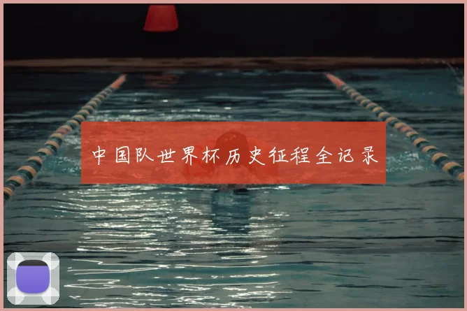 中国队世界杯历史征程全记录
