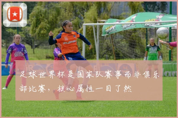 足球世界杯是国家队赛事而非俱乐部比赛，核心属性一目了然